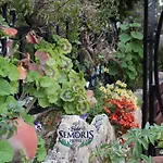 Semoris Hotel 3*